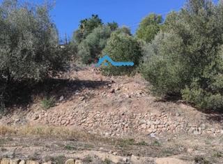 Terreny residencial a Callosa d´en Sarrià. Parcela urbanizable a la venta en callosa den sarrià