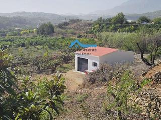 Finca rústica a Callosa d´en Sarrià. Terreno rústico con frutales y casita en callosa den sarrià