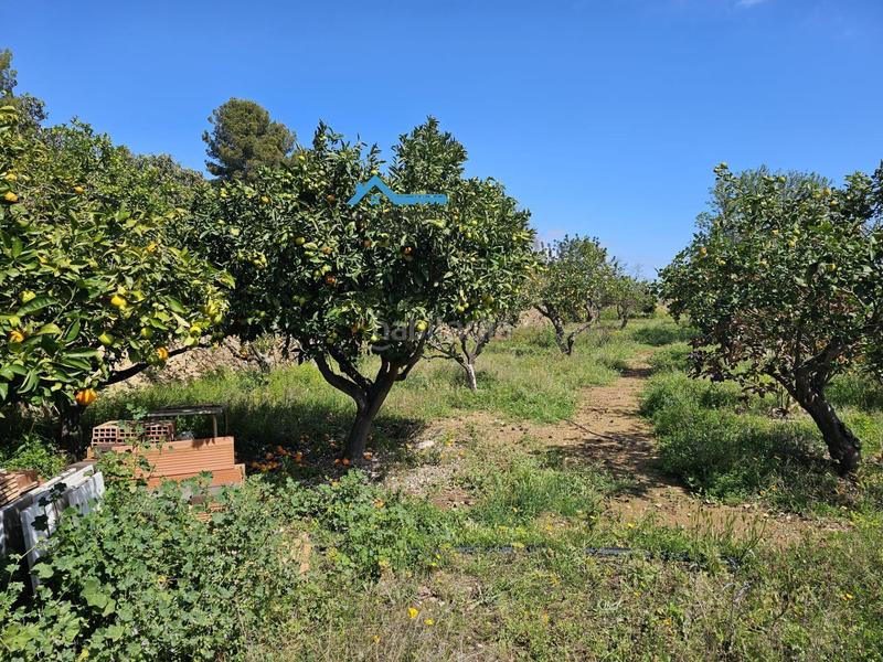 Foto 22f11502-9df5-427d-a22f-5574f1d468d5. Country house with parking pool in El Tossal-Bello Horizonte Nucia (la)