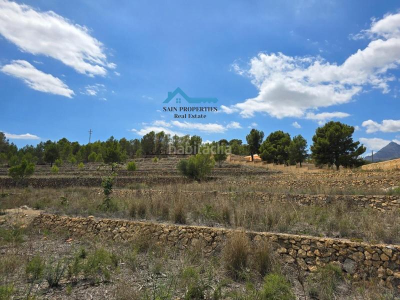 Foto 2de2fec6-63a5-47d0-bfe4-e7924d3f7b98. Fondo rustico in La Nucia Pueblo Nucia (la)