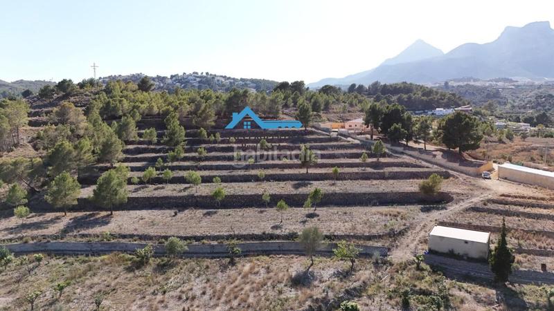 Foto 7c6f5949-4c80-467c-8e5c-555762964913. Fondo rustico in La Nucia Pueblo Nucia (la)