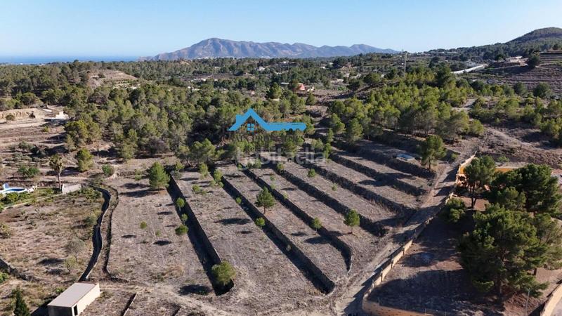 Foto 7f645f53-e1ce-4d17-bde8-2ea1176134f6. Fondo rustico in La Nucia Pueblo Nucia (la)