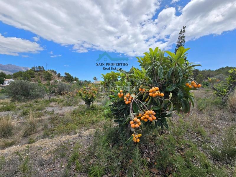 Foto c80778ed-dbfa-454b-b771-516b705b3b11. Fondo rustico in La Nucia Pueblo Nucia (la)