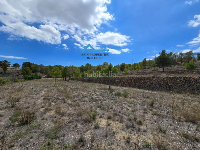 Foto f8b8bf17-f4a7-4d4e-899c-953573bcd6f2. Fondo rustico in La Nucia Pueblo Nucia (la)