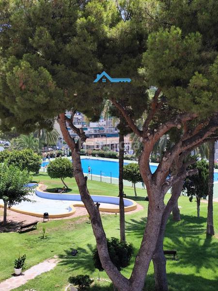 Foto c43b3f6b-3310-49dd-83ec-a5d9fea566a6. Piccolo appartamento con riscaldamento parcheggio piscina in Benidorm