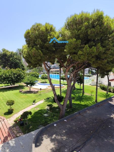 Foto d85338b1-d950-4b2c-836f-31f9996cae5c. Piccolo appartamento con riscaldamento parcheggio piscina in Benidorm