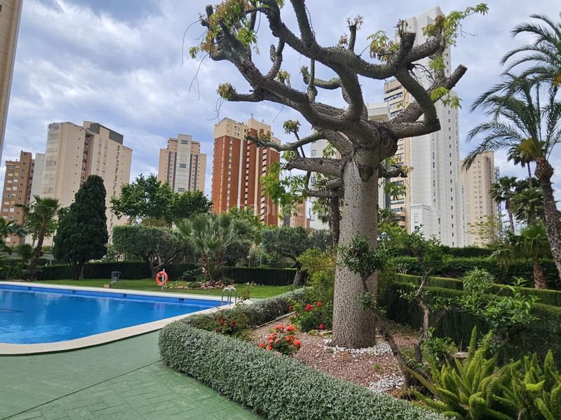 Foto 12e98a71-ff45-42bd-b632-b6e7e628b806. Pis amb calefacció aparcament piscina a Levante Alto Benidorm