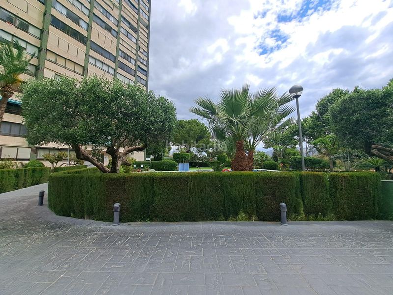 Foto 74db3674-c8de-4973-825c-da2a3d6e0f4d. Pis amb calefacció aparcament piscina a Levante Alto Benidorm