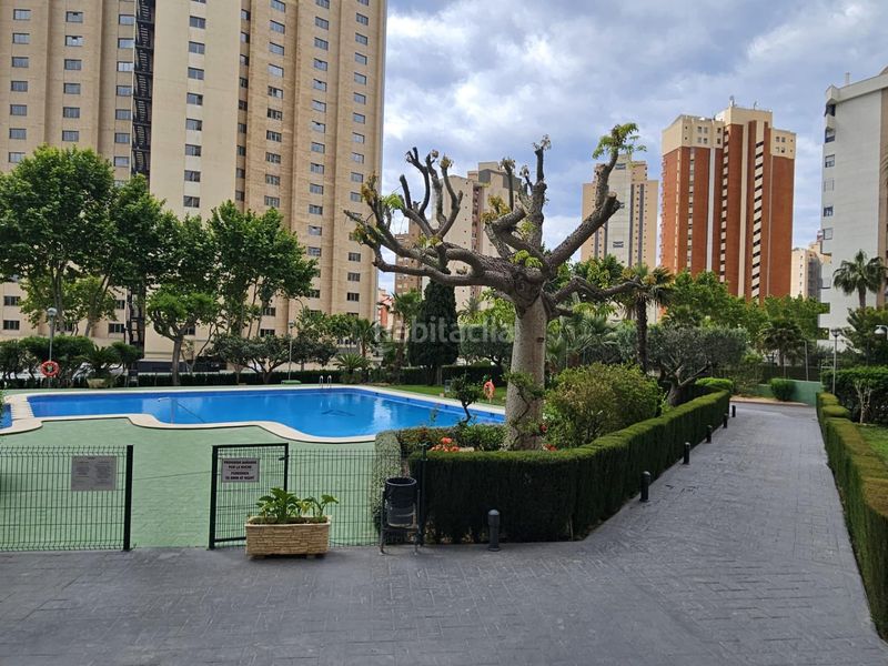 Foto 86c405bc-d3cc-4e16-8073-63f9bb4af489. Pis amb calefacció aparcament piscina a Levante Alto Benidorm