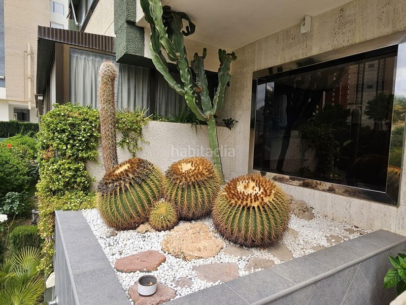Foto edb8d9b2-e58d-4ad2-8b52-7beda701ce66. Pis amb calefacció aparcament piscina a Levante Alto Benidorm