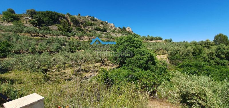 Foto 7186e0a5-d304-4ee2-9d5d-8ca573bcde4f. Casa amb calefacció aparcament a Confrides