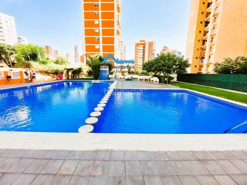 Foto c616a6c4-f945-4a28-840f-a13e3061e47e. Pis amb calefacció piscina a Juzgados - Plaza de Toros Benidorm