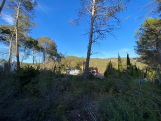 Terreno residencial en Calle Griva de la 135A