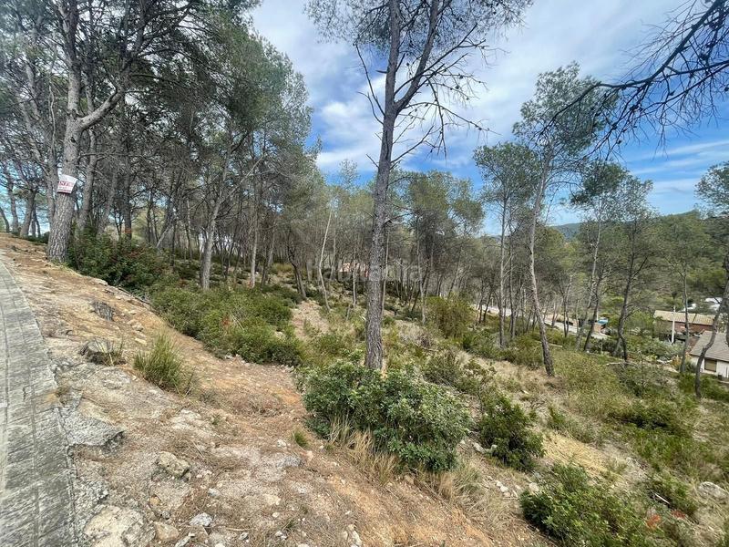 Foto 51e69dae-43d9-4e18-a077-ea6ed4201c64. Terreno residencial en carrer de l'albada 20 bonita parcela plana en Olivella