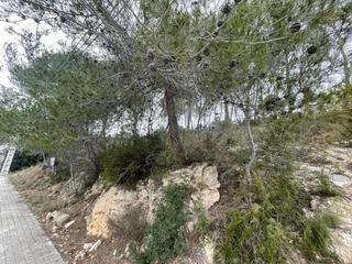 Residential Plot in Olivella. Parcela