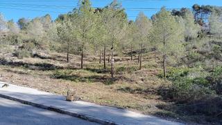 Residential Plot in Olivella. Amplia parcela en las colinas