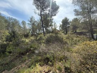 Residential Plot in Olivella. Parcela plana perfecta para edificar