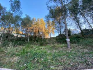 Terreny residencial a Pirineus 16. Parcela en mas mestre