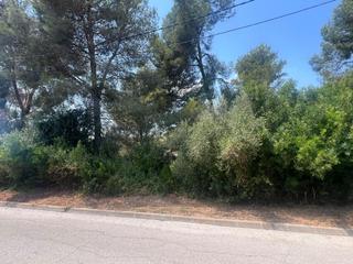 Residential Plot in Olivella. Parcela con ligera pendiente