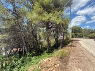 Terreny residencial a Olivella