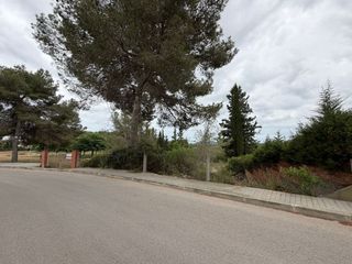 Terreny residencial a Olivella