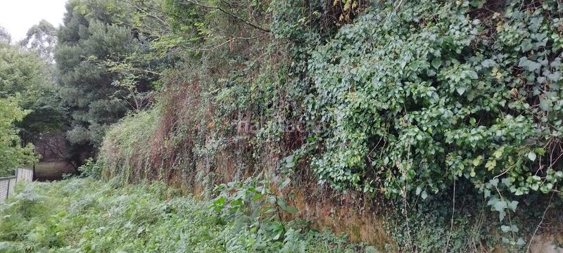 Foto 37b9ea50-94c8-4950-8a68-8a57be304647. Terrain résidentiel dans Parroquias Rurales Pontevedra