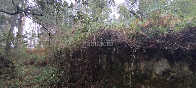 Foto 3af6f695-a843-41f4-9643-4fcc62f26402. Terrain résidentiel dans Parroquias Rurales Pontevedra