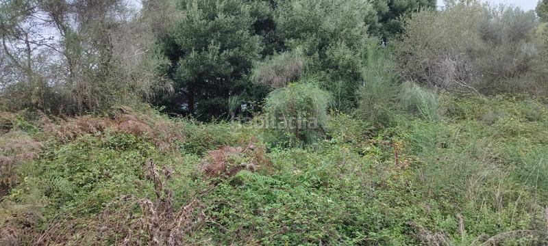 Foto 8acfd0fe-5b10-4501-b825-1c4a3f07da4d. Terrain résidentiel dans Parroquias Rurales Pontevedra