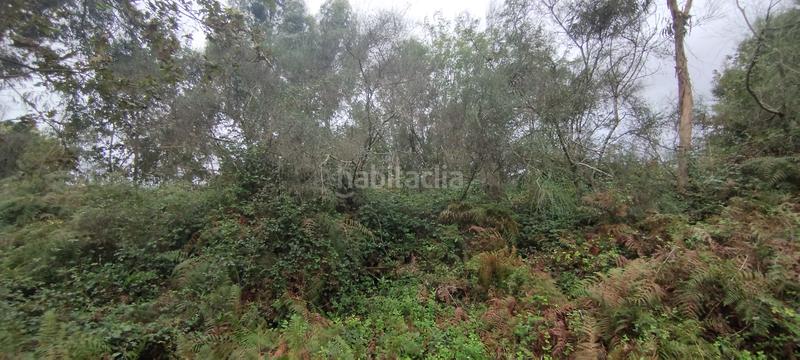 Foto fed888f6-9c28-4a9f-a0d6-5927194f4653. Terrain résidentiel dans Parroquias Rurales Pontevedra
