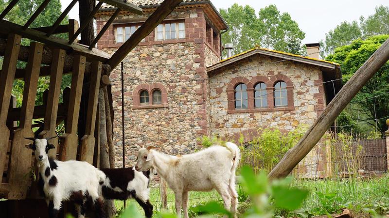 Foto a76bc394-3652-494e-b46d-9bf32a46171d. Miete appartement mit kamin heizung in Viladrau