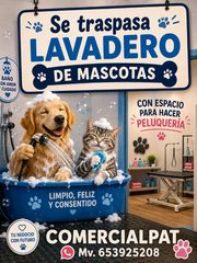 Transfer Business premise in Calafell Platja. Se traspasa lavadero y peluquería de mascotas. alquiler solo 350