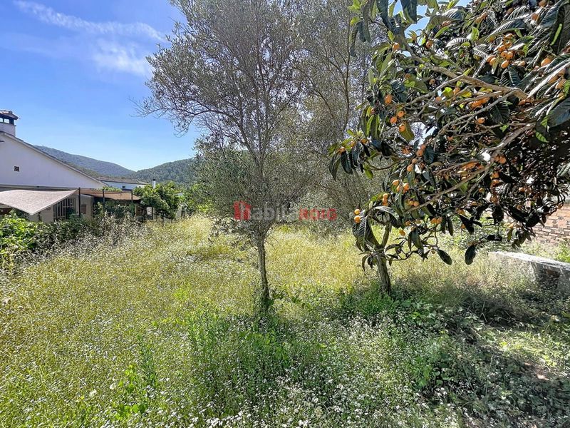 Foto 661cc84d-c729-439d-b5ce-1d9c02aa2d36. Finca rústica a Canyelles
