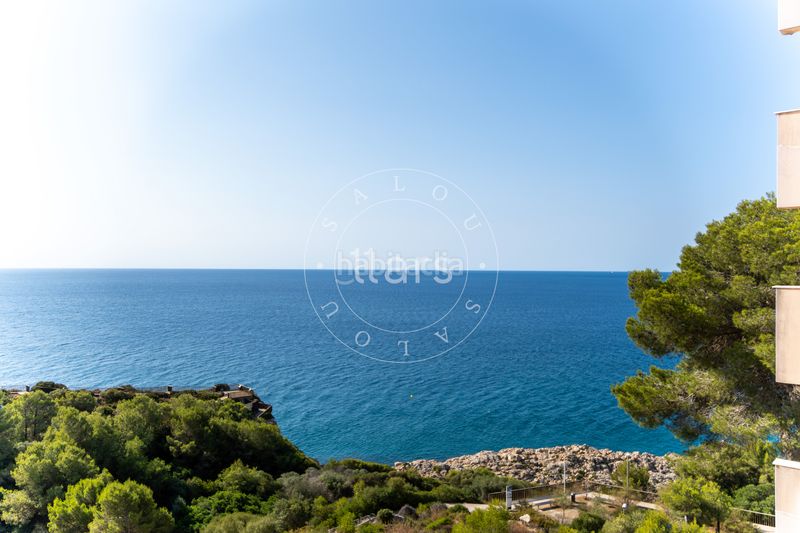 Foto 826a7f18-81df-4f85-b92a-25e7e4df3c55. Studio dans pla de maset - cap de Salou Salou