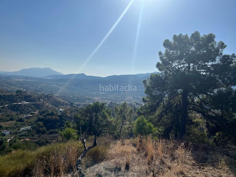 Foto 1de6323f-9703-4e80-ab94-ec882e73d5f0. Fondo rustico in Monda