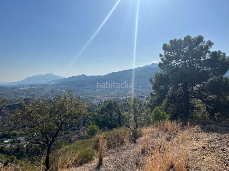 Foto b1b2925e-e360-4c95-89ef-6d8c2e8df268. Fondo rustico in Monda