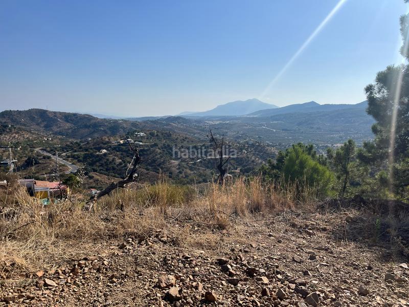 Foto b6e7f347-3588-4855-a83b-fa3936082004. Fondo rustico in Monda