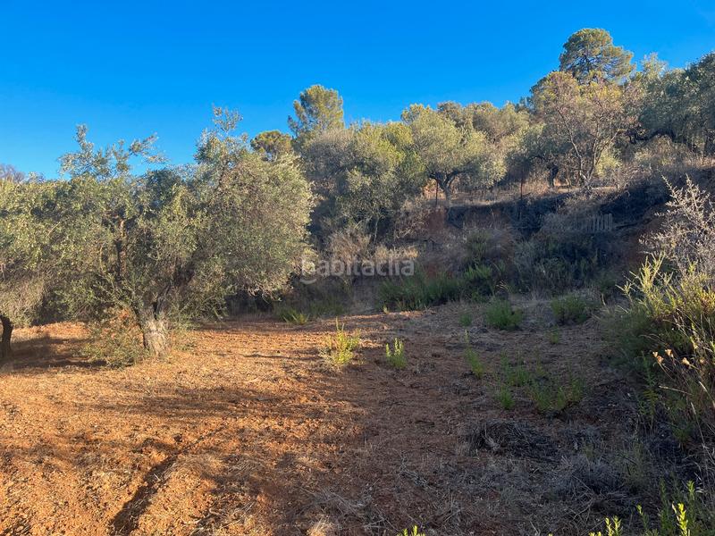 Foto 4256f5f5-48bd-4533-ac50-16f0a2dc3290. Finca rústica a Monda