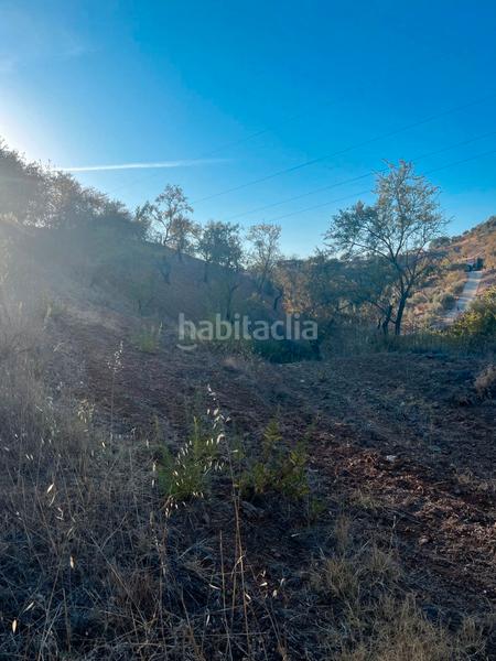 Foto 787e5322-1fe6-43a9-b36f-d0a5869138b4. Finca rústica a Monda