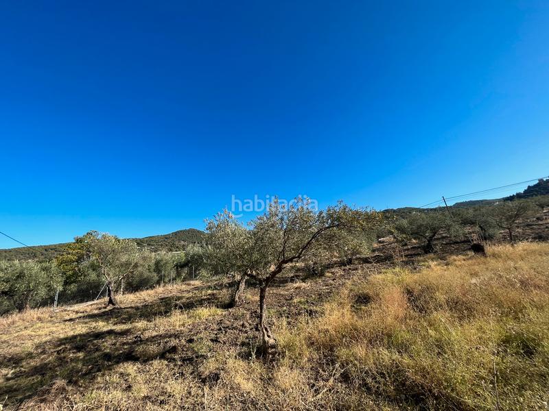 Foto 97a09d57-f067-488b-9fdc-91154e62c107. Finca rústica a Monda