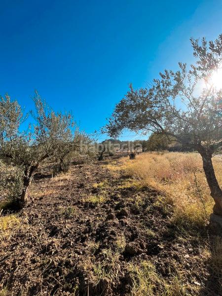 Foto c36ec84d-e44e-49a2-921c-a9d27f92e449. Finca rústica a Monda