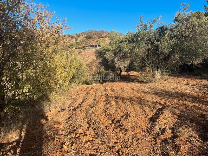 Foto fbcf0ea2-d8f4-4a0b-9da3-64b0b6259676. Finca rústica a Monda
