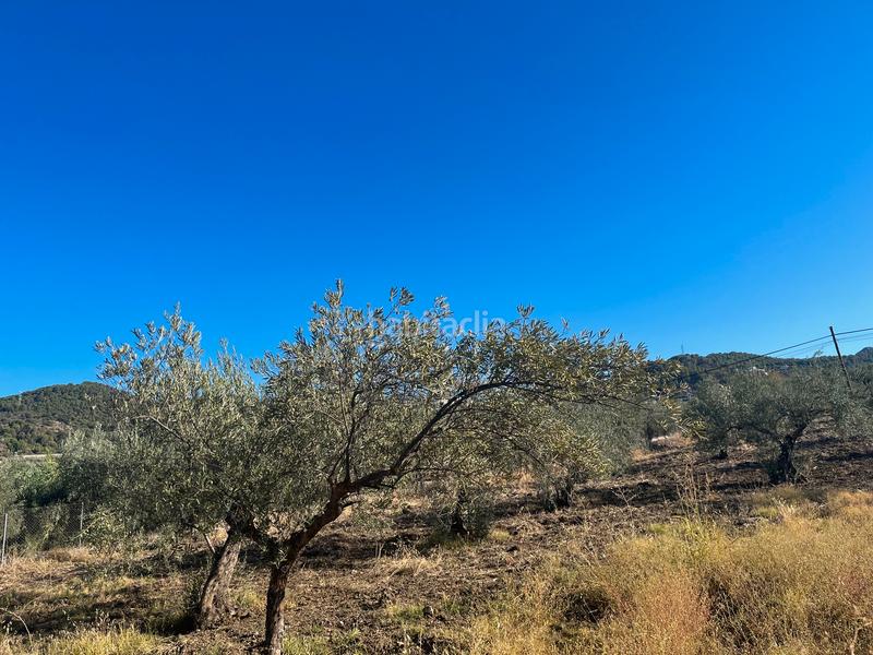 Foto fe7e96ed-7215-4f26-983d-7d526a7cac6d. Finca rústica a Monda