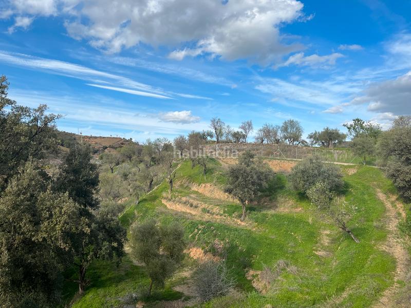 Foto a5f6cb32-b2d9-45cc-a279-cf1d7c266394. Finca rústica a Monda