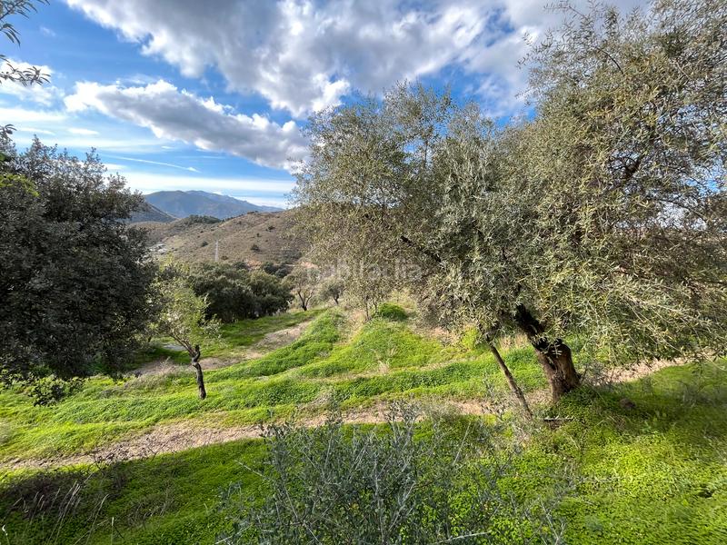 Foto cca4802d-fce0-4a4b-92b0-3ad09118afa0. Finca rústica a Monda