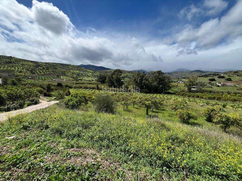 Foto bccf4d4c-1e0f-498d-8f01-c3823926f70f. Finca rústica a Tolox