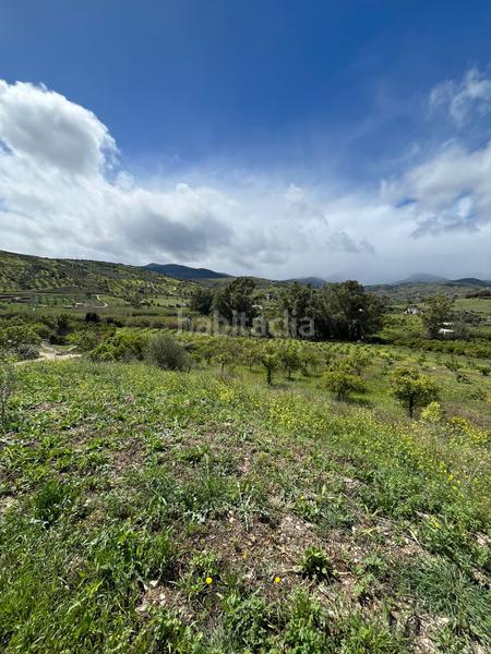 Foto c4884dd8-f045-4d59-88ac-96303bad3f3a. Finca rústica a Tolox