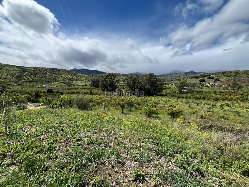 Foto ffe3e224-8920-4bc5-bec5-7a9b65f888fb. Finca rústica a Tolox