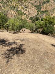 Finca rústica  Diseminado diseminados. Oportunidad de finca en monda!!!!!!