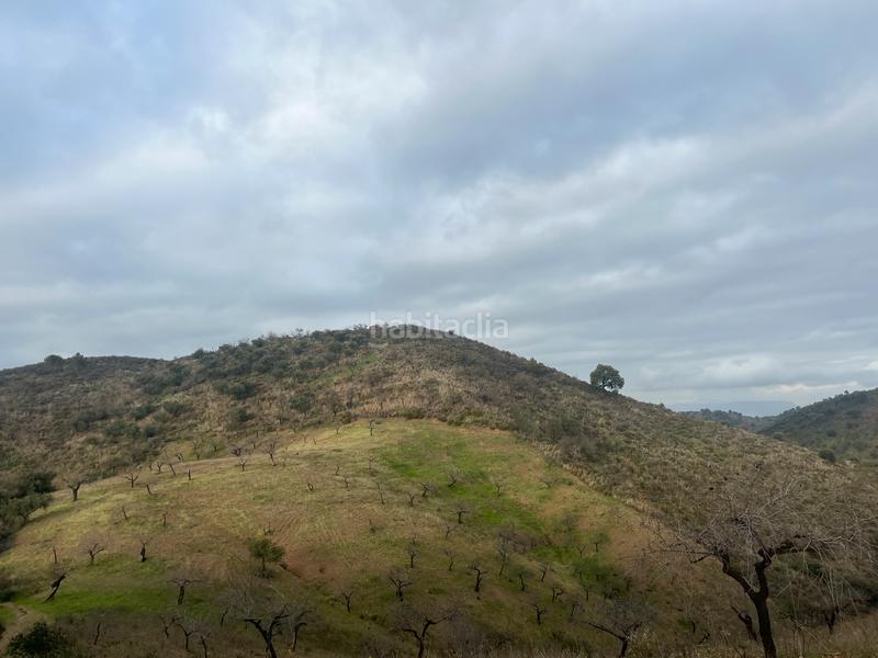 Foto 74b0cf72-02fd-4622-850e-997c93c7dd75. Finca rústica a Monda