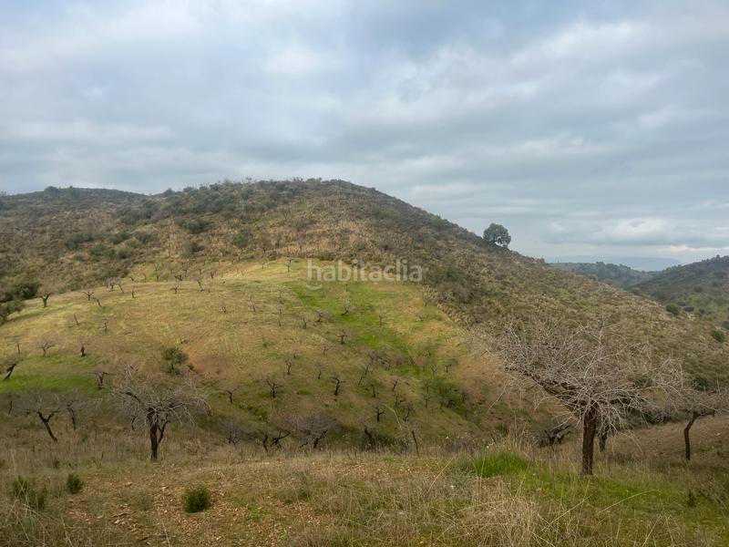 Foto a3c3aa44-43cd-4c56-9ee2-9905c0d0c246. Finca rústica a Monda